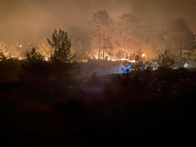 Yalan terörü sosyal medyada