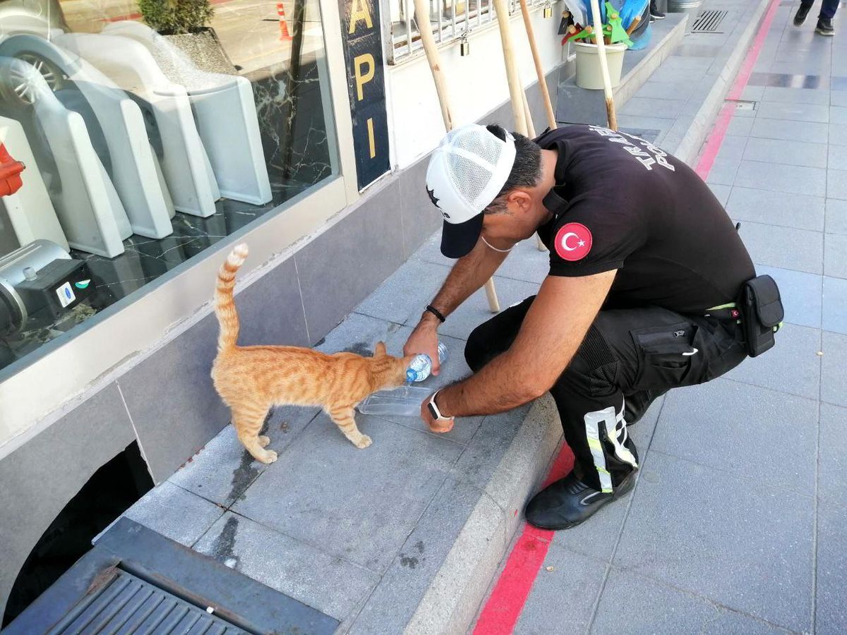 Son dakika haber | Aksaray\'da polisin hayvan sevgisi yürekleri ısıttı