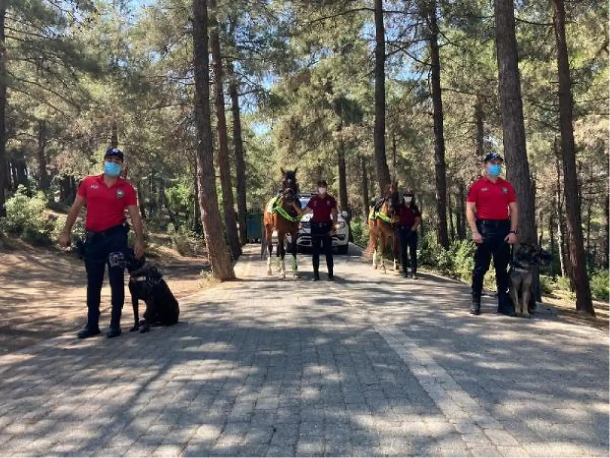 Son dakika haber: ARNAVUTKÖY\'DE ORMAN YANGINLARINA KARŞI ATLI POLİSLE DENETİM