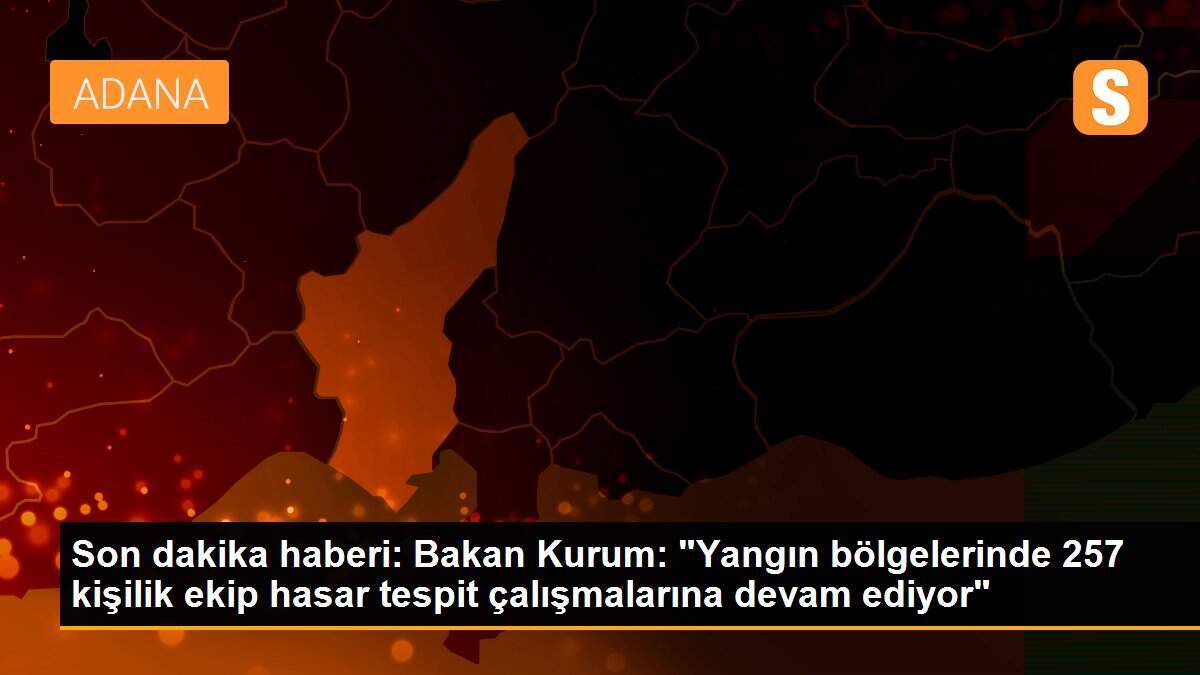 Son dakika haberi: Bakan Kurum: "Yangın bölgelerinde 257 kişilik ekip hasar tespit çalışmalarına devam ediyor"