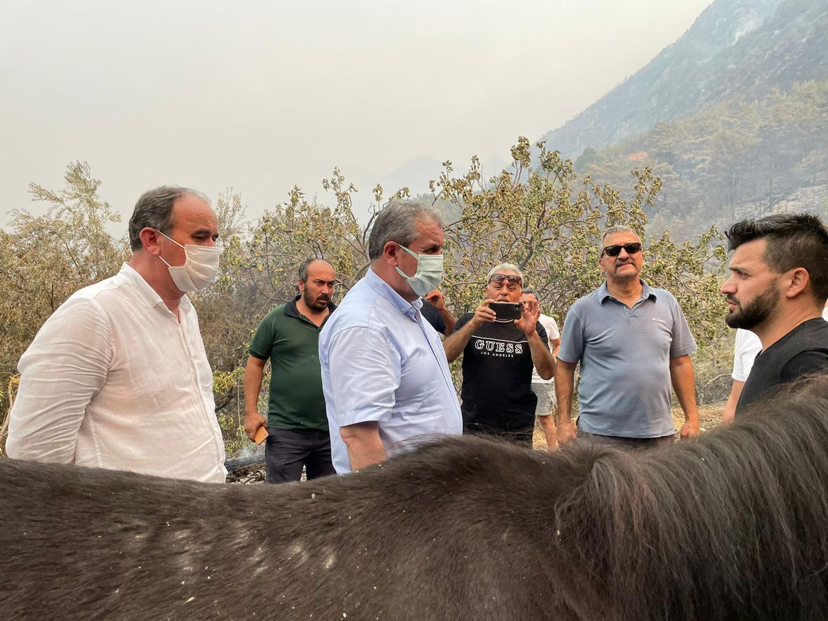 BBP Genel Başkanı Destici\'den orman yangınlarına ilişkin açıklama Açıklaması
