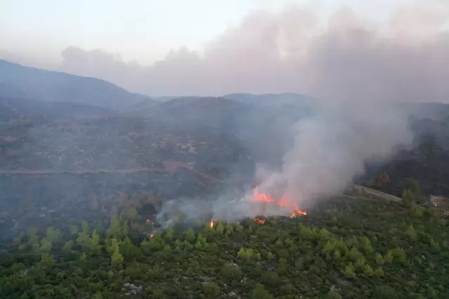 Bodrum'daki orman yangınını söndürme çalışmaları havadan görüntülendi