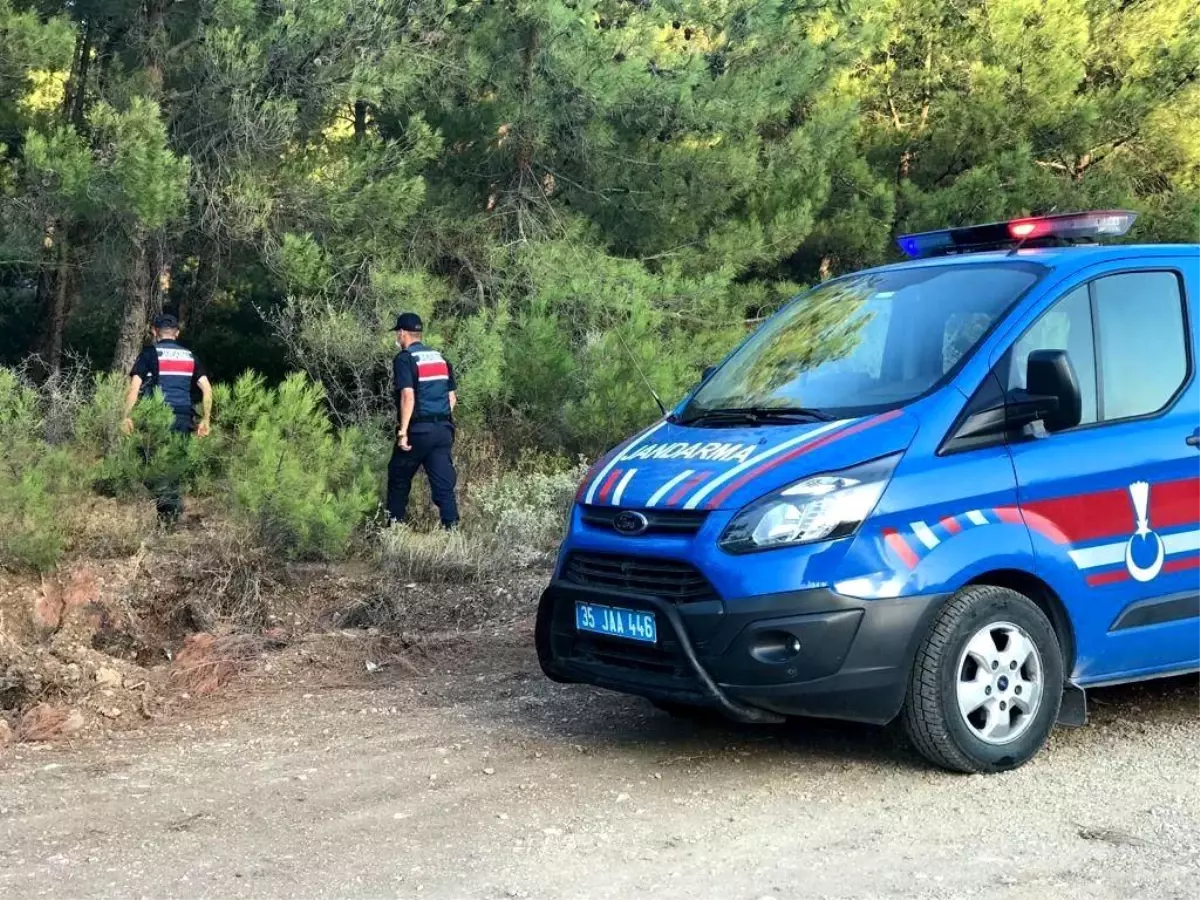 Çeşme\'deki ormanlık alanlarda devriye nöbeti başladı