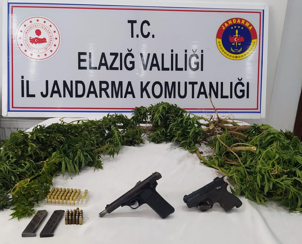 Elazığ\'da kenevir eken şüpheli yakalandı