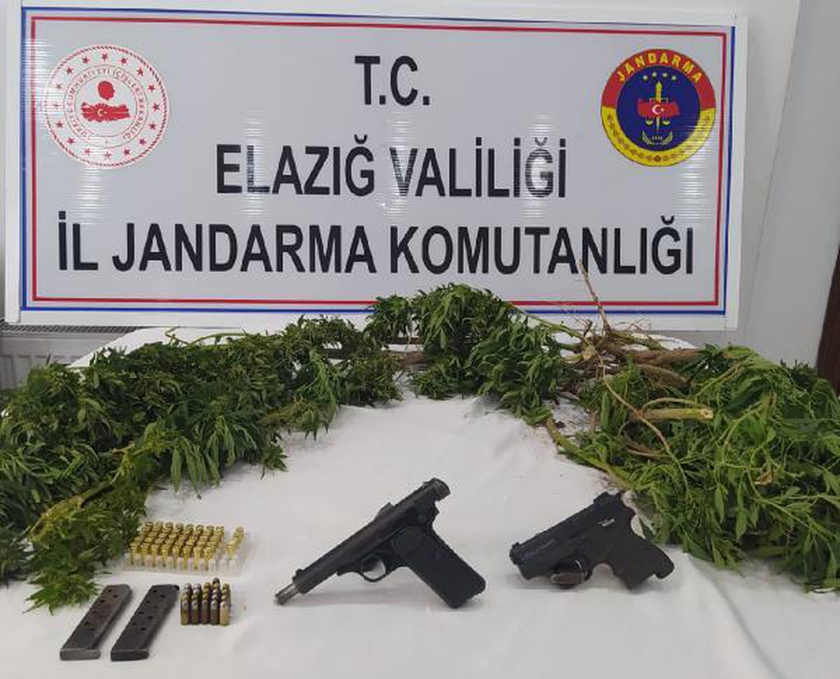 Son dakika haberi: Evinin bahçesine kenevir eken şüpheli gözaltına alındı