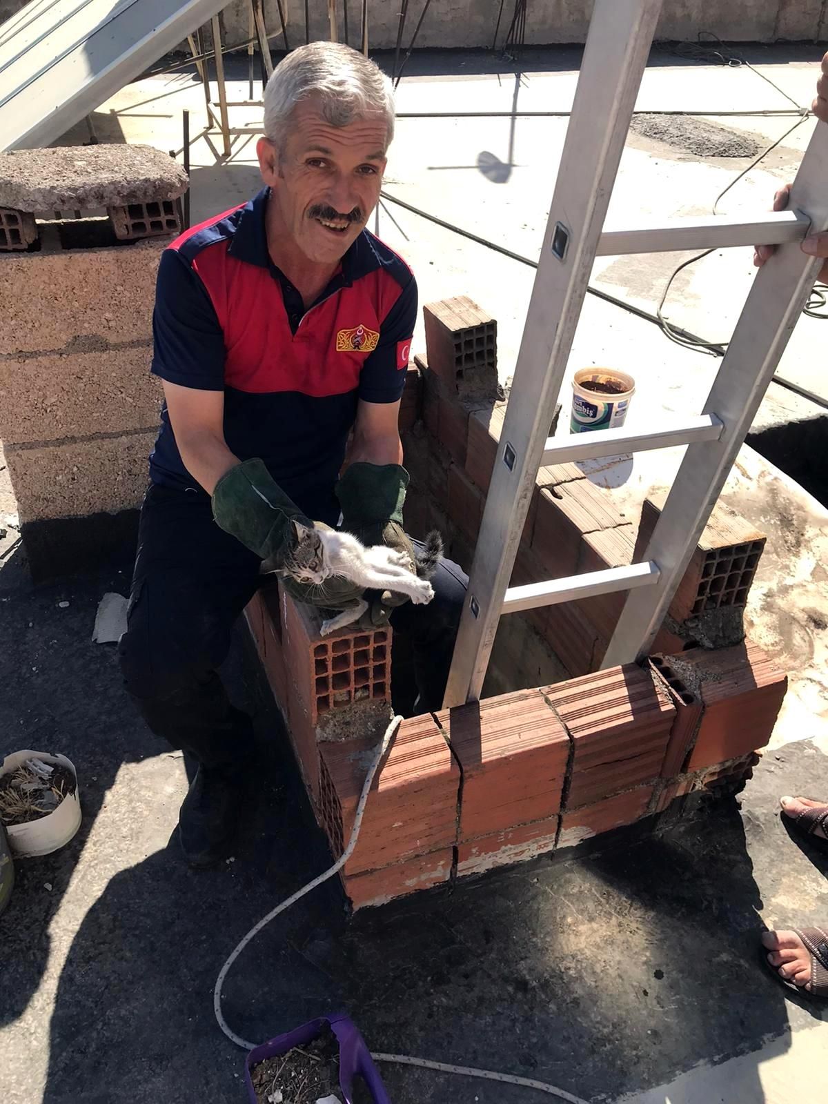 Havalandırmaya düşen kedi kurtarıldı