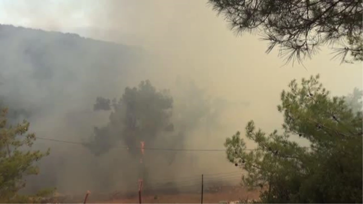 Köyceğiz\'deki orman yangınını söndürme çalışmaları devam ediyor