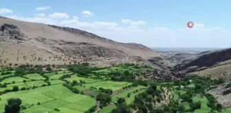 Mardin'in saklı cenneti: Gurs Vadisi doğasıyla hayran bırakıyor