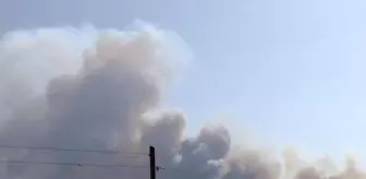 Milas'taki yangında 2'nci gün; alevler Çökertme ve Ören'e ilerliyor