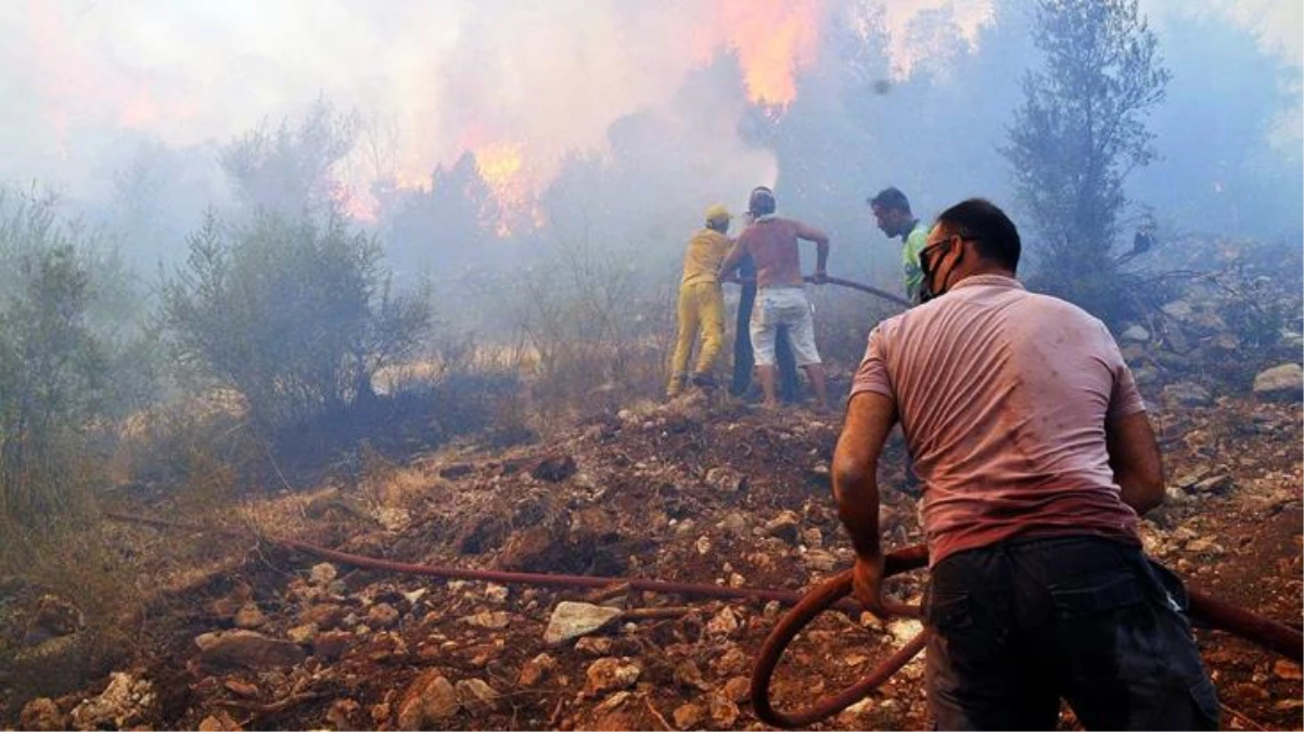 Son Dakika: Bir güzel haber de Muğla\'dan! Bodrum\'da devam eden yangın kontrol altına alındı