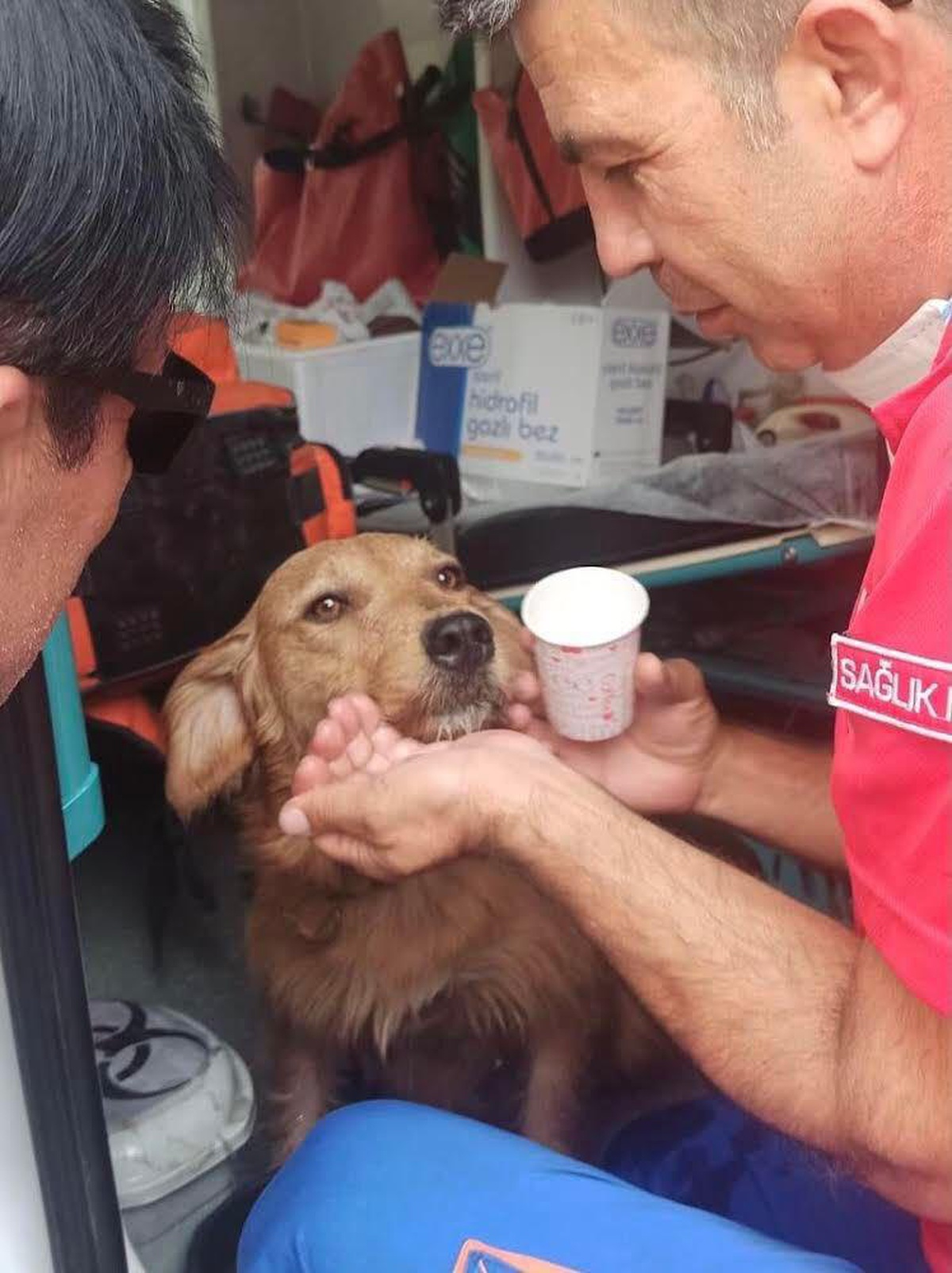 UMKE, Manavgat\'ta dumandan etkilenen köpeğe tıbbi müdahalede bulundu