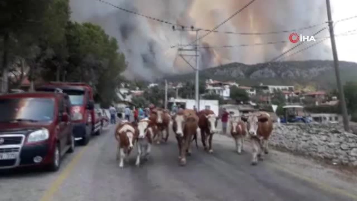 Son dakika haber | Yangın yerleşim eyerlerine ulaştı, Gökbel köyü boşaltıldı