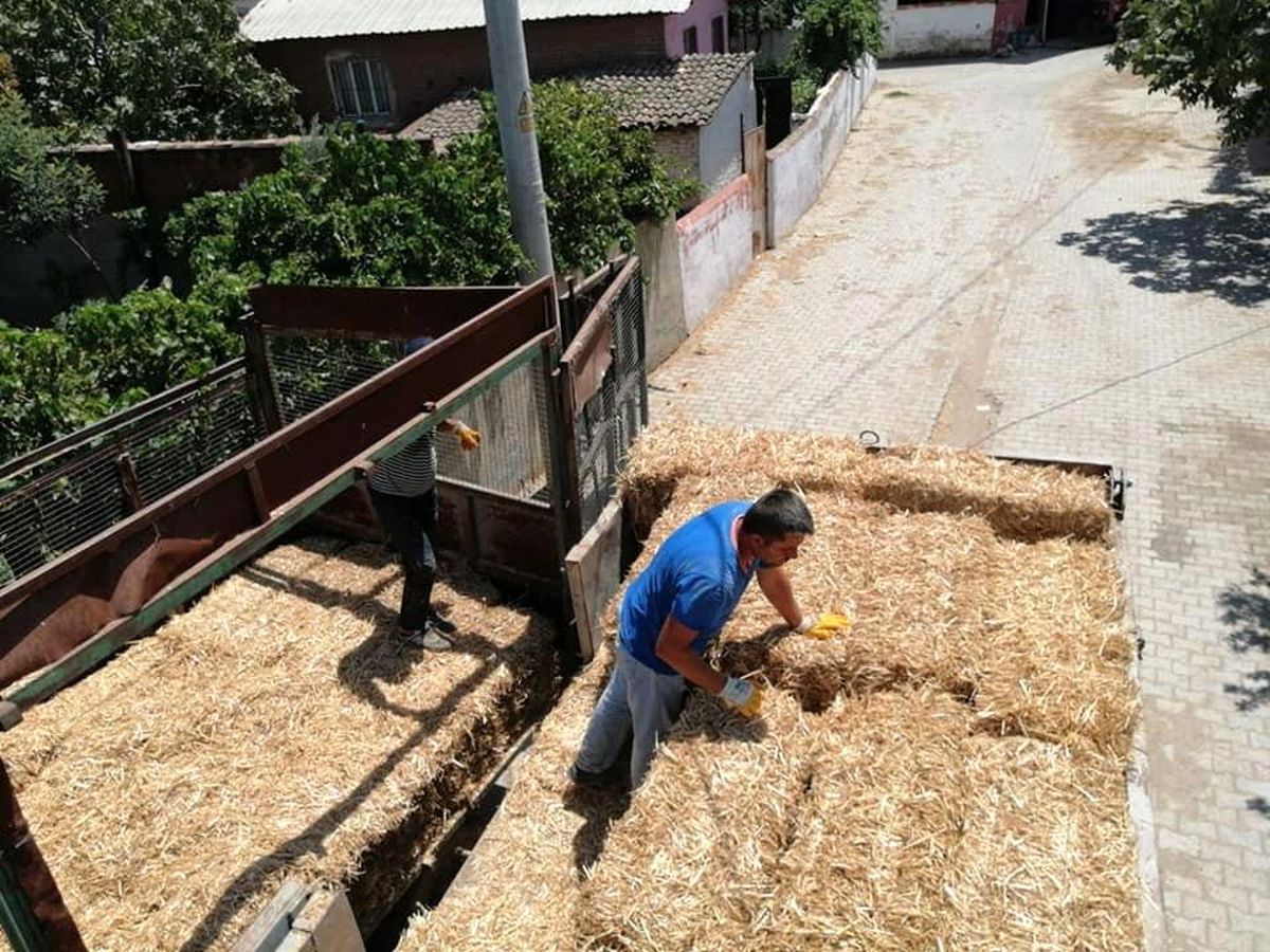 Son dakika... Yangında zarar gören çiftçiler yem ve saman bağışı
