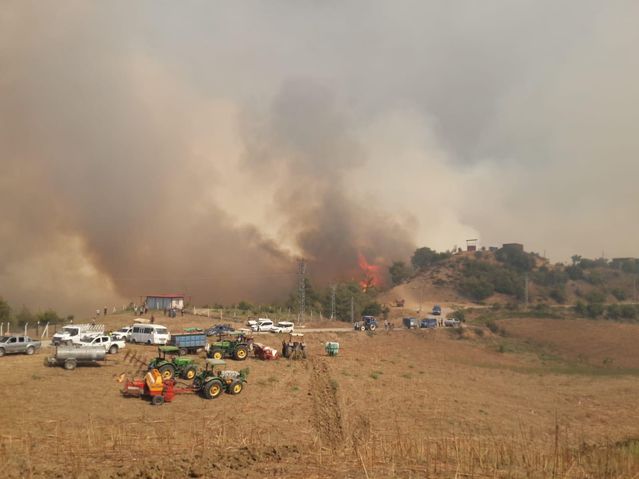 Adana'da tarlada başlayıp ormanlık alana sıçrayan yangına müdahale ediliyor