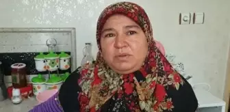 Azra'nın parçalara ayırılıp, valizle ormana gömülen cesedi bulundu (5)