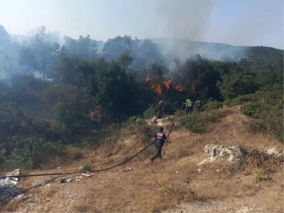 Son dakika haberi! BALIKESİR\'DE ORMAN YANGINI; 20 DÖNÜM ALAN KÜL OLDU