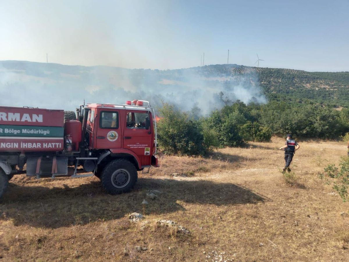 Balıkesir\'deki yangında 10 dönüm ağaçlık ve otluk alan zarar gördü
