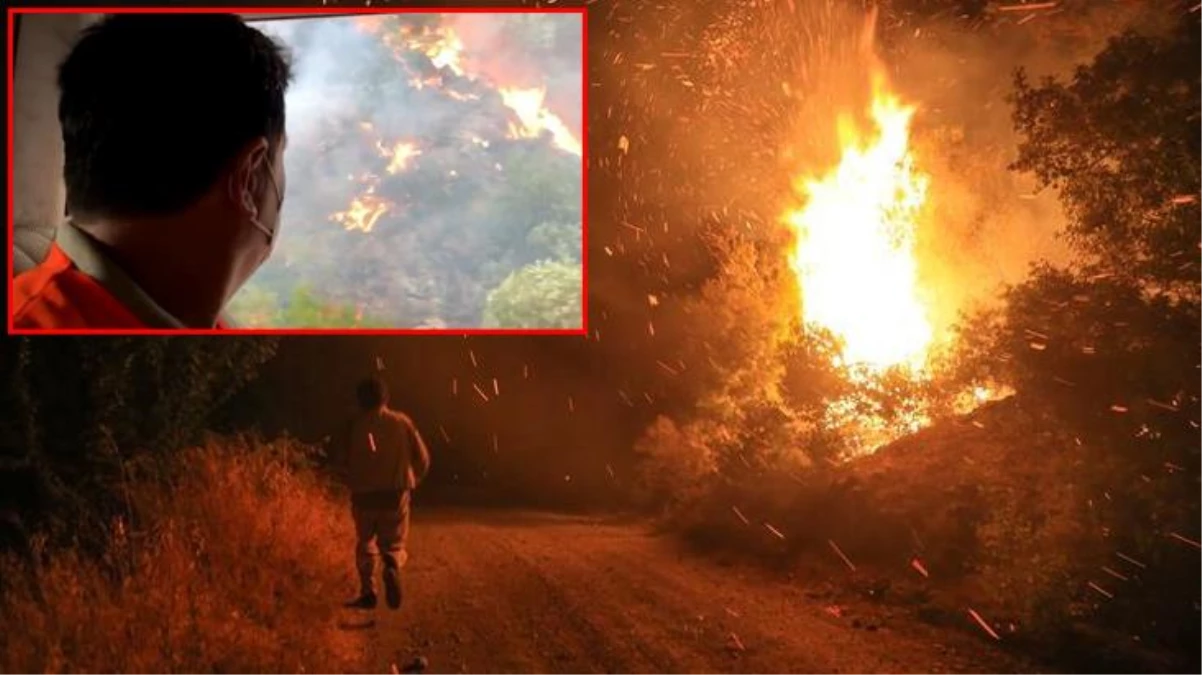 Bodrum Belediye Başkanı Aras, yangını canlı yayınladı: Artık ne yapacağımızı şaşırdık