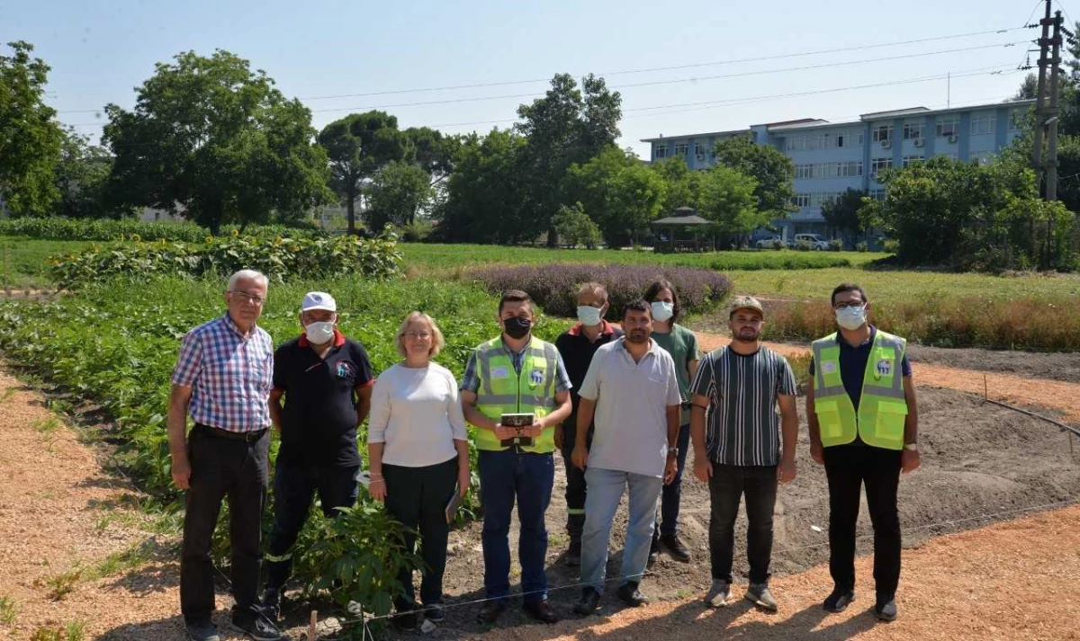 Bursa Uludağ Üniversitesinin Tıbbi ve Aromatik Bitkiler Bahçesi örnek olacak