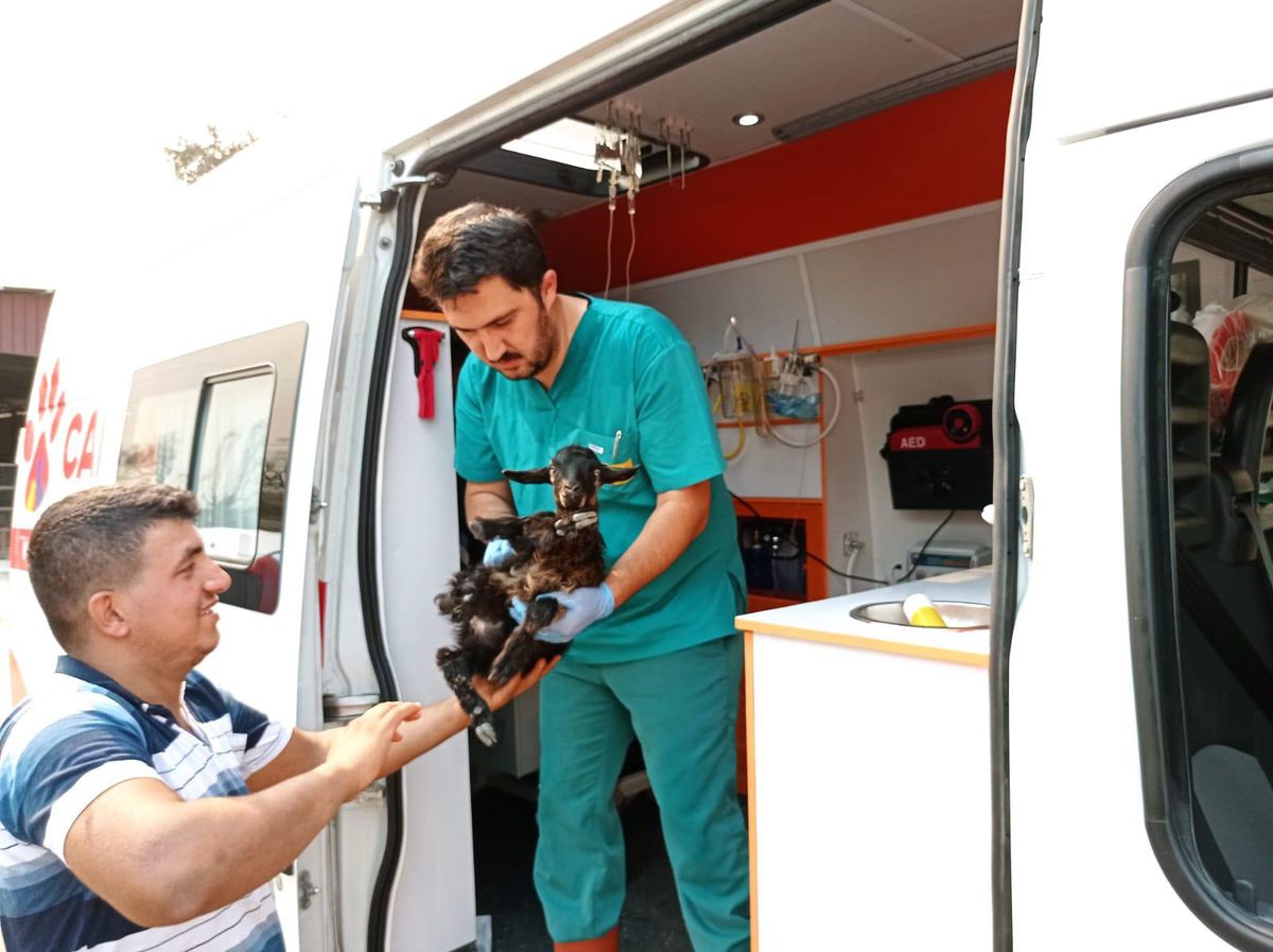 "Canbulan", Manavgat\'taki yangında yaralanan hayvanların hayata tutunmasını sağlıyor