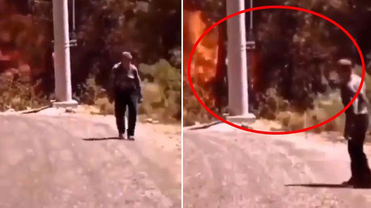 Çaresiz yaşlı adamın ormana son bakışı yürek dağladı! Videoyu izleyenler gözyaşlarını tutamadı