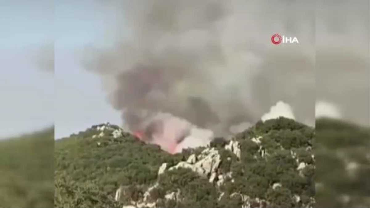 Son dakika haberleri: Demre\'deki orman yangını söndürüldü