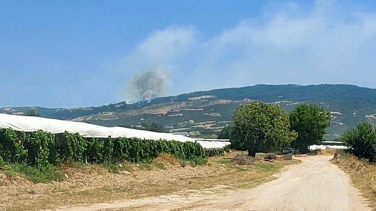 Son dakika haberleri | Denizli\'de başlayan orman yangını için halk seferber oldu