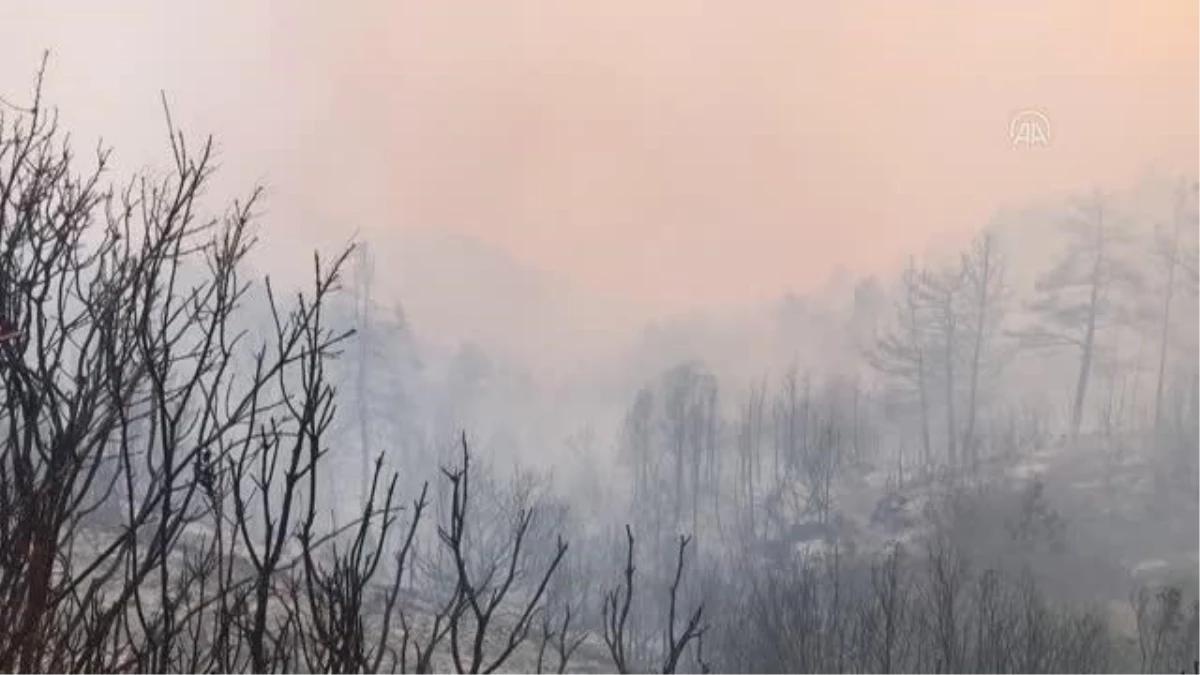 Son dakika gündem: Gündoğmuş\'taki orman yangınına çok sayıda helikopterle müdahale ediliyor (2)