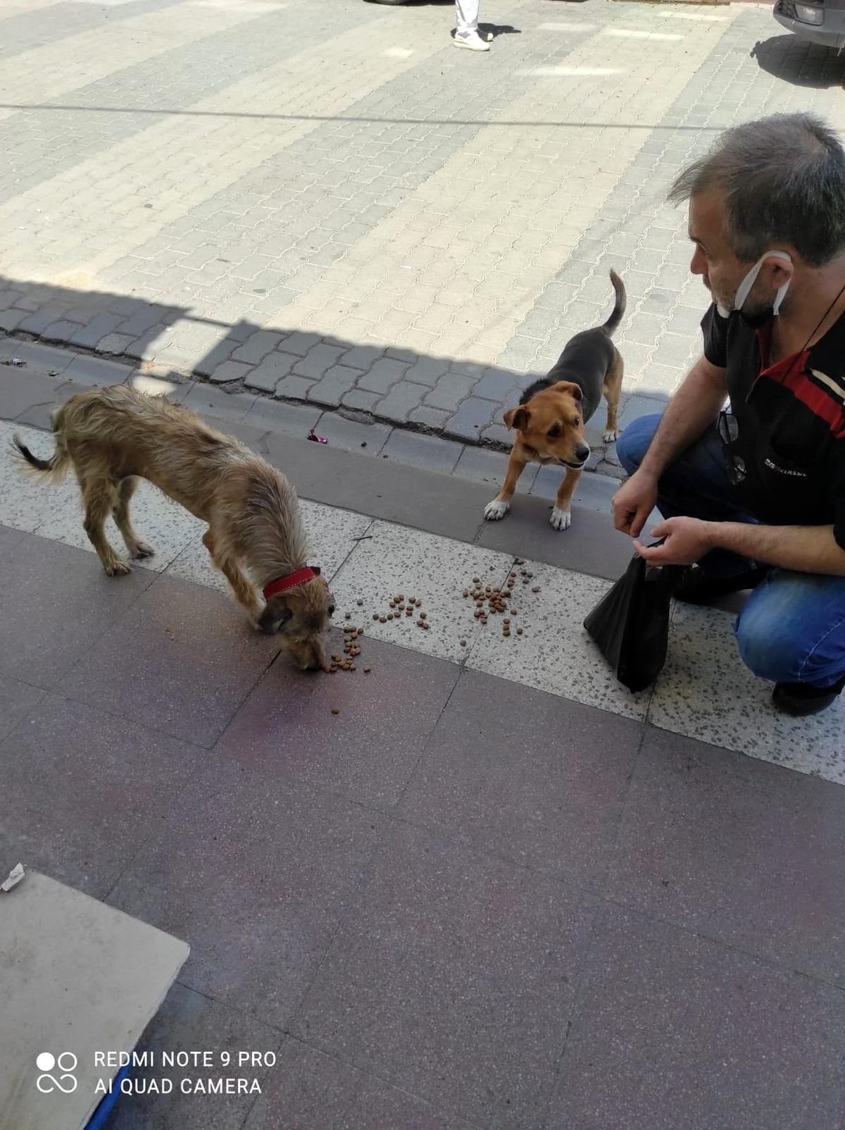 Hayvan barınağı gibi gazete bayii
