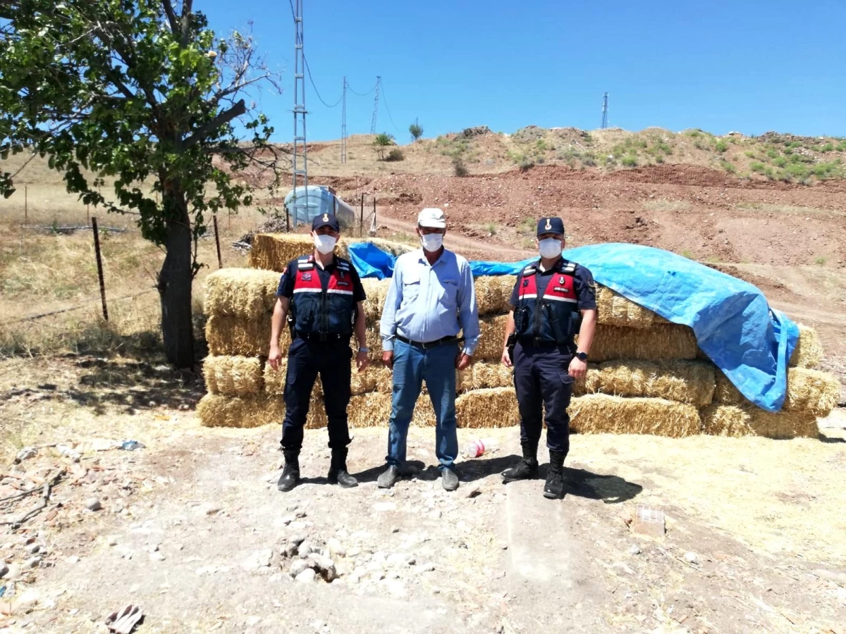 Hırsızlar şimdide çiftçinin samanına göz dikti: Jandarma PTS\'den tespit etti, hırsızı yakaladı