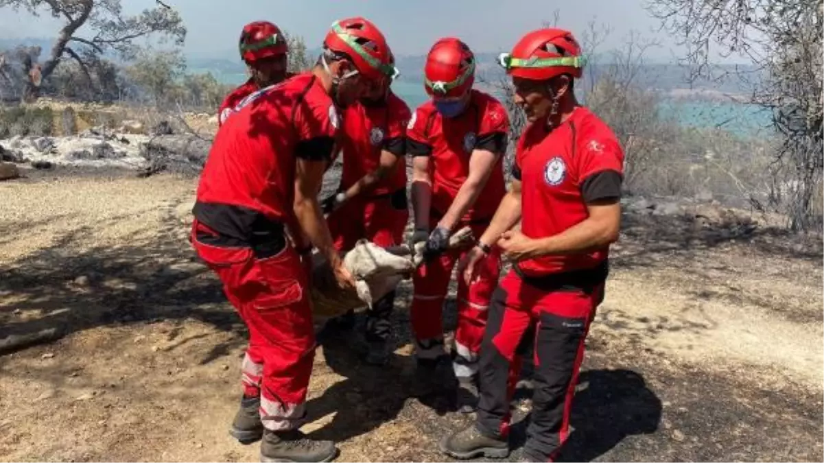 Manavgat\'taki yangında sığındığı mağarada mahsur kalan çoban ve 45 keçisi kurtarıldı