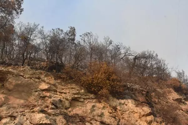ÇÖKERTME SAHİLİNİN SON HALİ YÜREK BURKTU