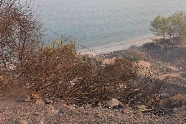 ÇÖKERTME SAHİLİNİN SON HALİ YÜREK BURKTU