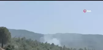 Son dakika haber... Ormanın yakınındaki tarım arazisinde çıkan yangın korkuttu
