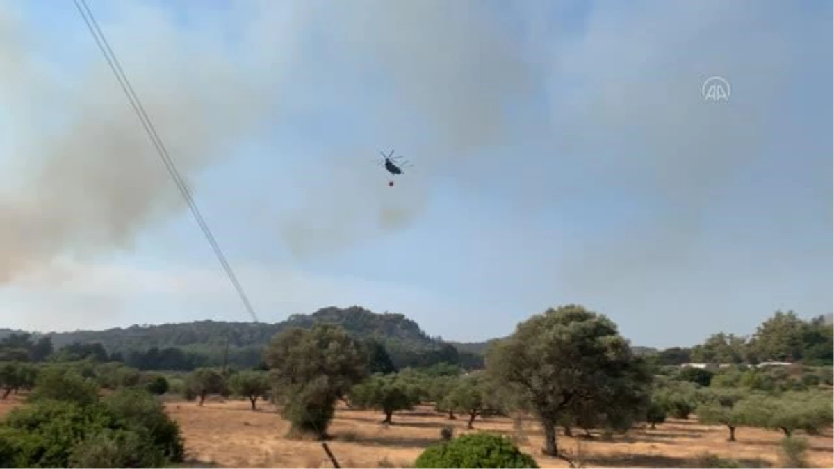Son dakika haber: RODOS ADASI - Yunanistan\'da orman yangınları devam ediyor