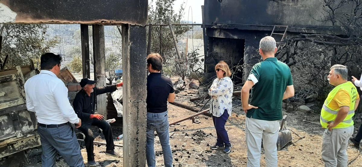 Son dakika haberleri... TARSİM\'den yangın hasarlarına ilişkin açıklama
