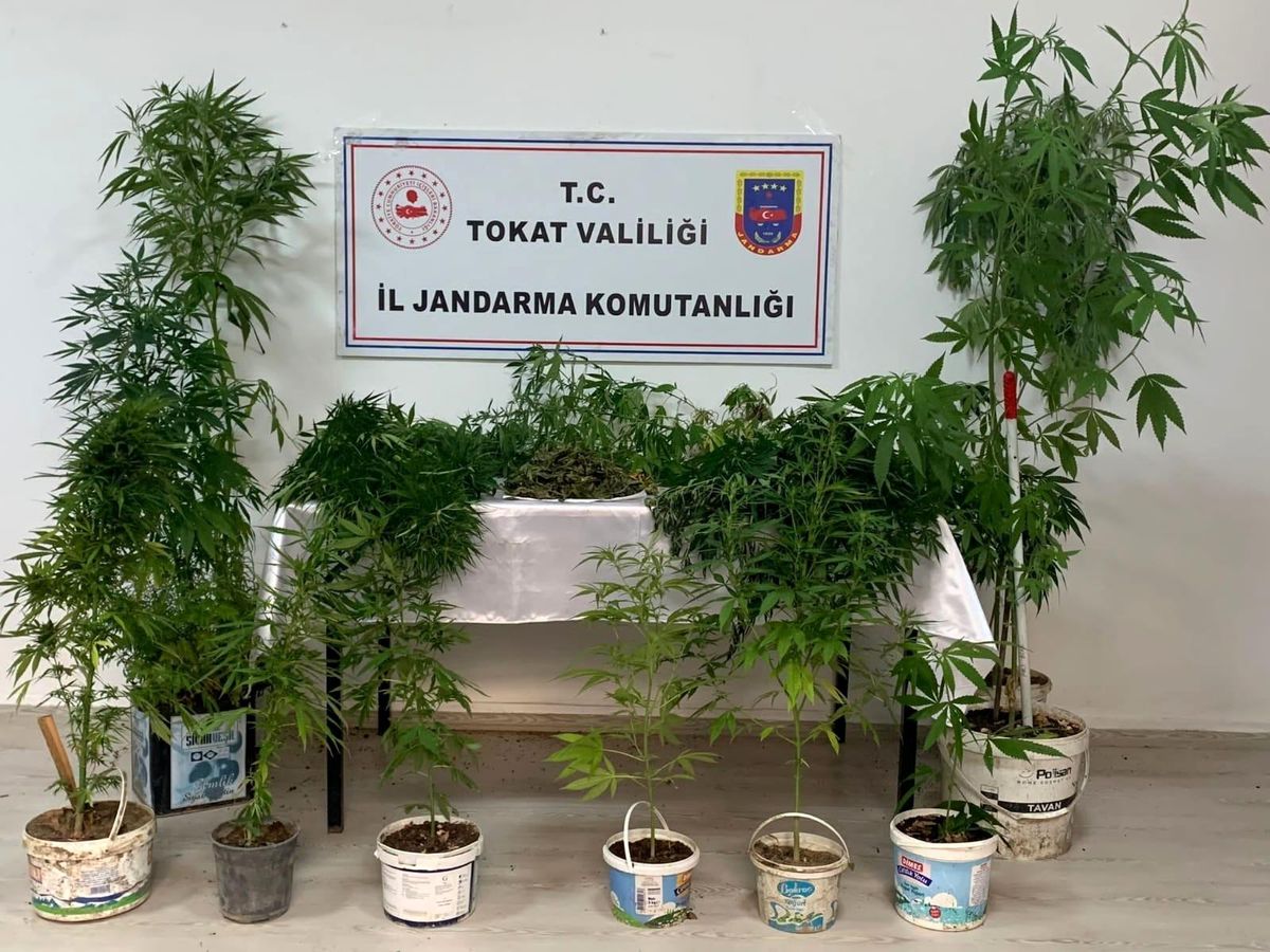 Son dakika haberi! Tokat\'ta uyuşturucu madde operasyonları: 3 gözaltı