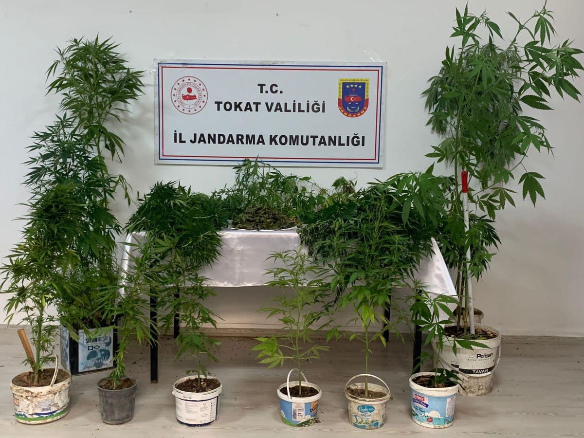 Tokat\'taki uyuşturucu operasyonlarında gözaltına alınan 2 kişi tutuklandı