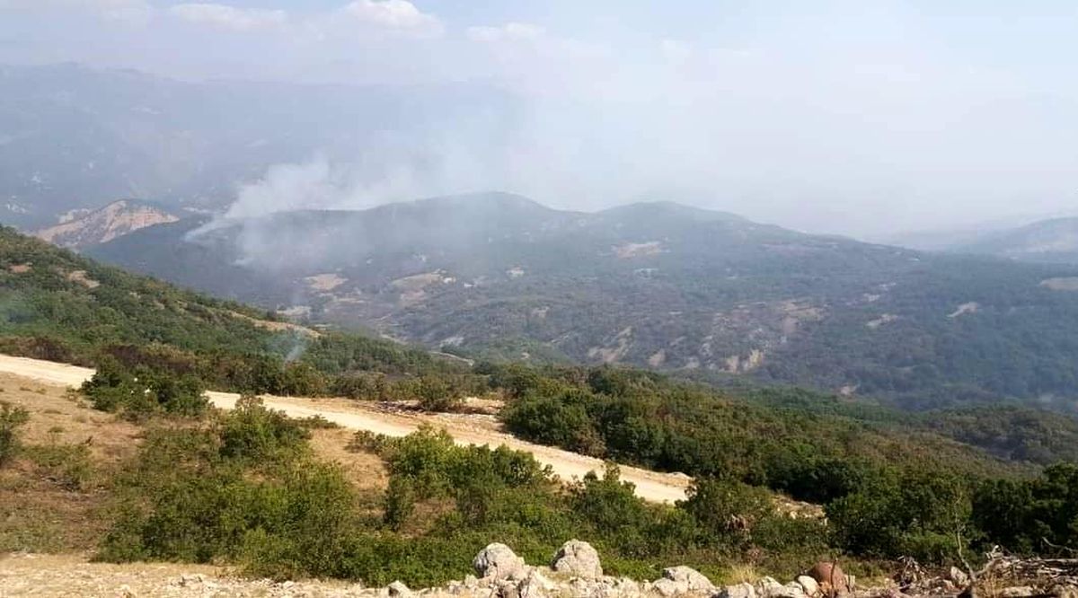 Son dakika haberi! Tunceli\'deki orman yangınında soğutma çalışmaları sürüyor