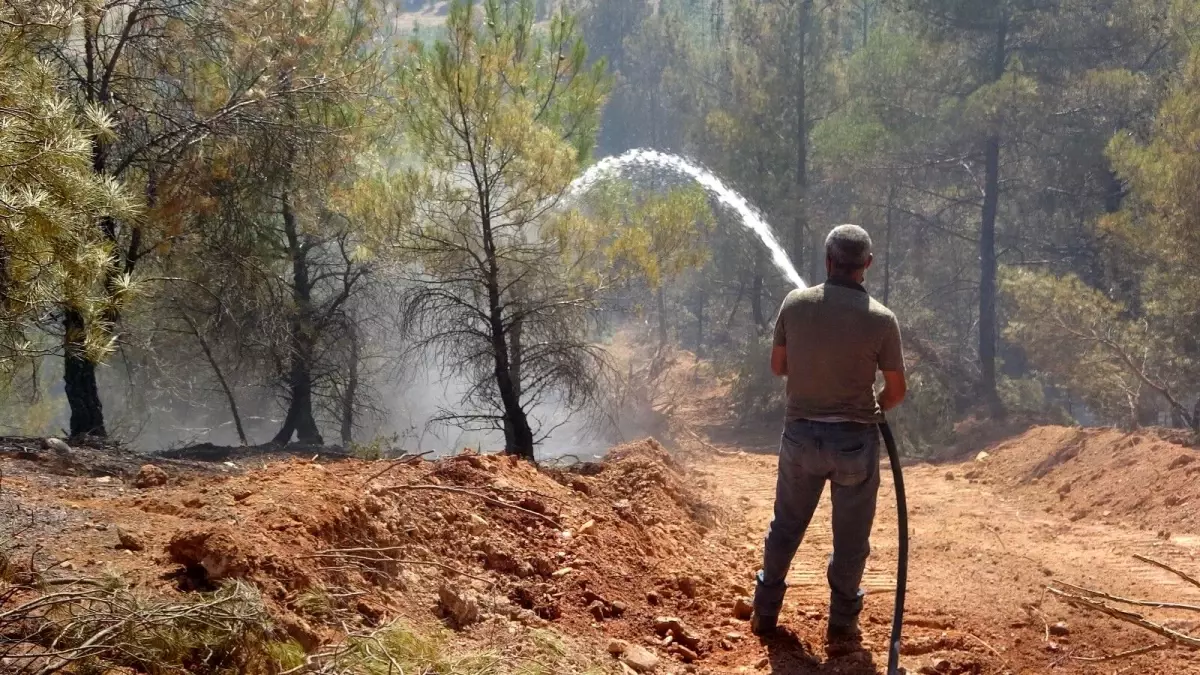 Uşak\'ta çıkan orman yangını büyümeden söndürüldü