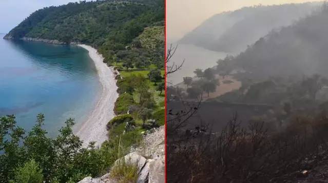 Yangınlara teslim olan Çökertme Koyu'nun son hali yürekleri burktu Yangınlara teslim olan Çökertme Koyu'nun son hali yürekleri burktu