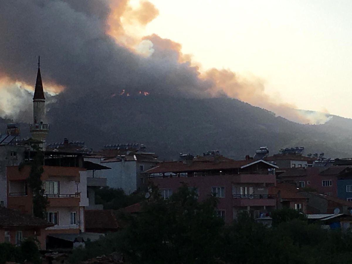 Son dakika haber... Aydın\'da orman yangını