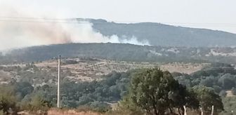 Son dakika haber! Balıkesir'de orman yangını (2)