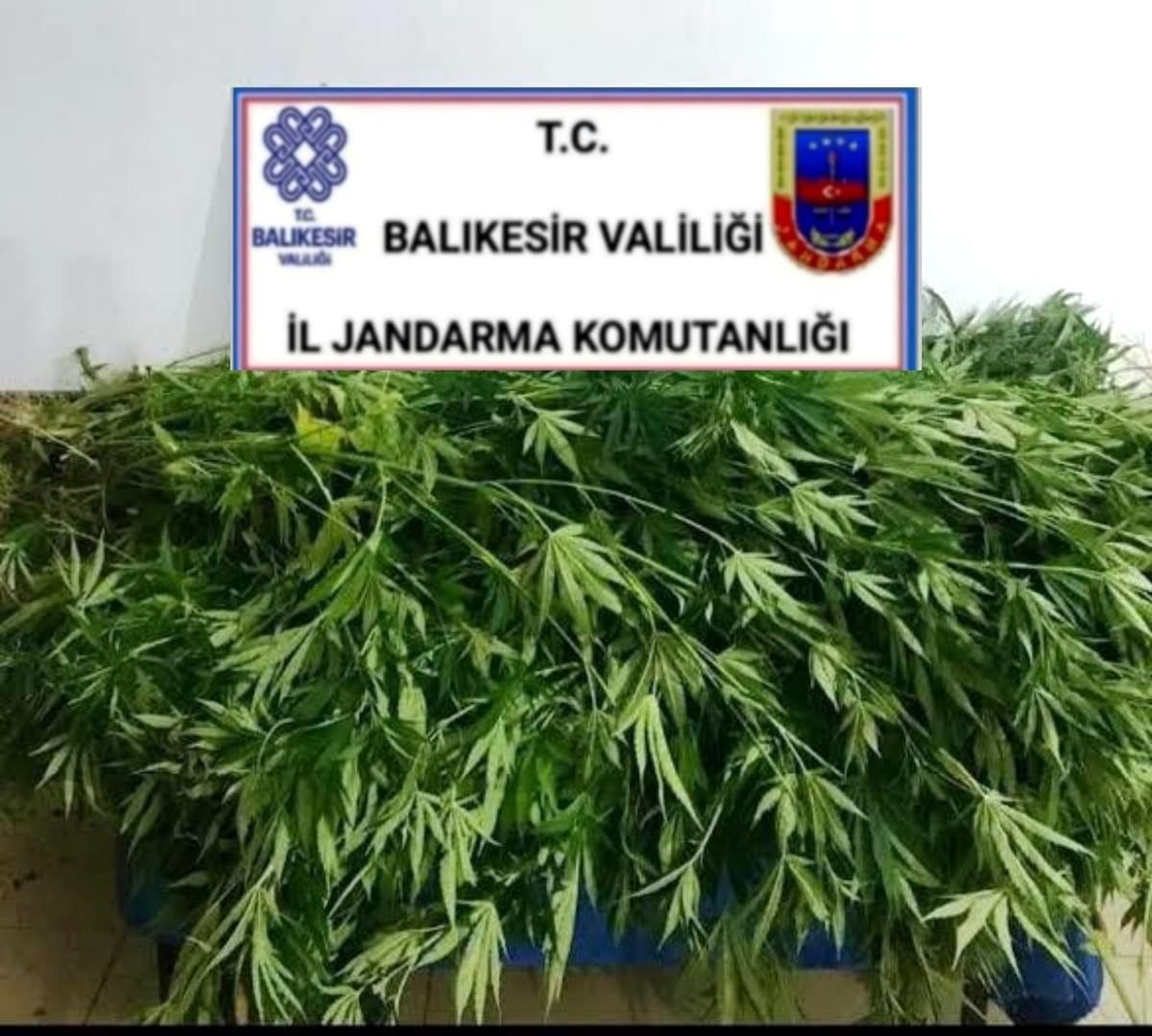 Son dakika haber | Balıkesir\'de son 1 haftada 110 şahsa gözaltı