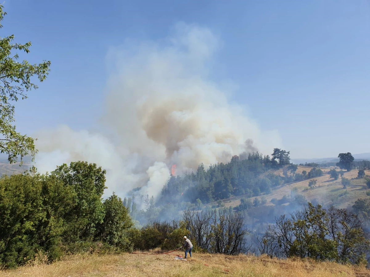 BALIKESİR - Dursunbey\'deki orman yangını kontrol altına alındı
