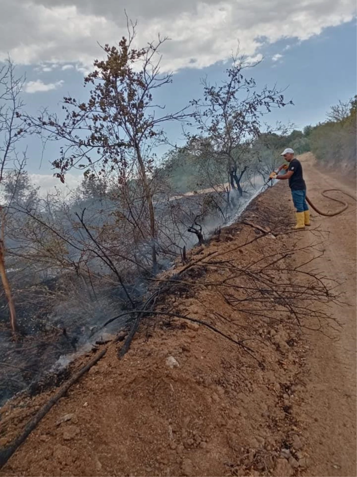 Baskil ilçesinde çıkan yangında kayısı ağaçları zarar gördü