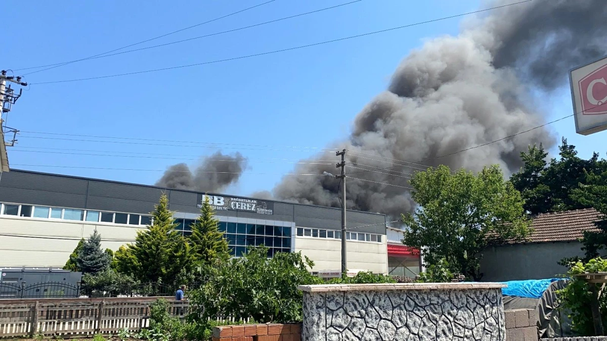 Çerez fabrikası alev alev yandı