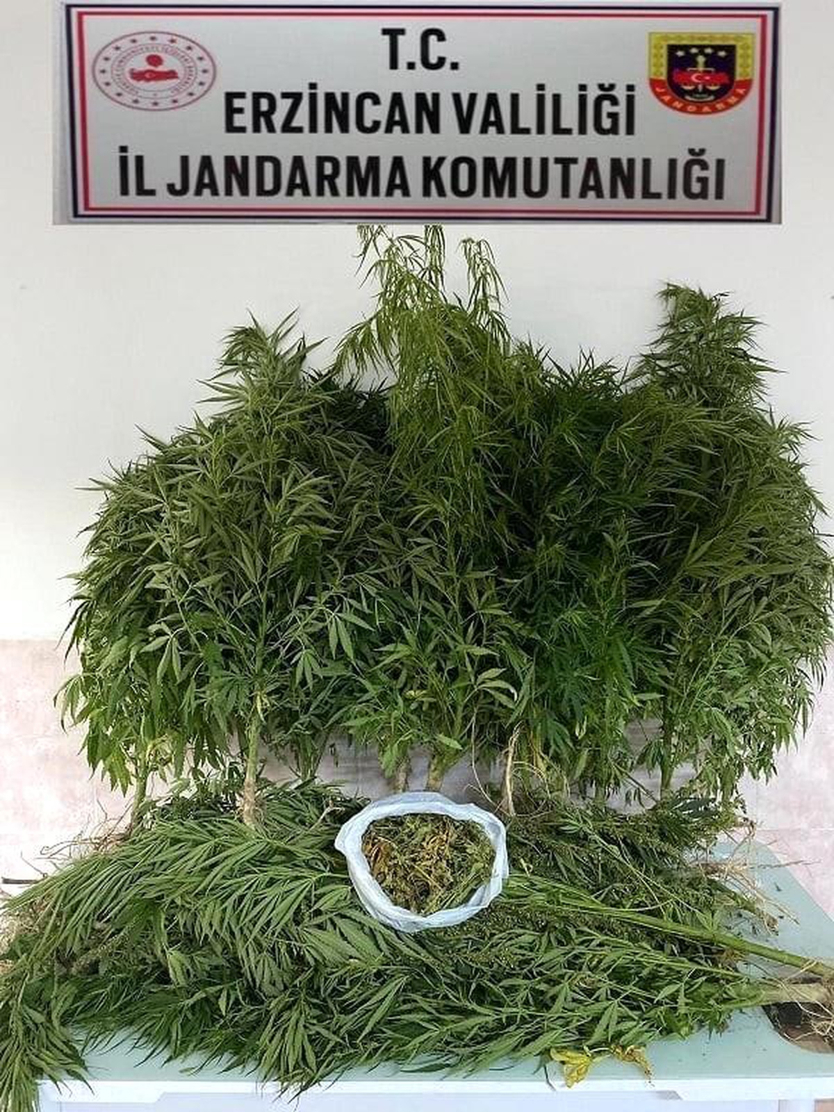 Erzincan\'da bir miktar Hint keneviri ve esrar ele geçirildi