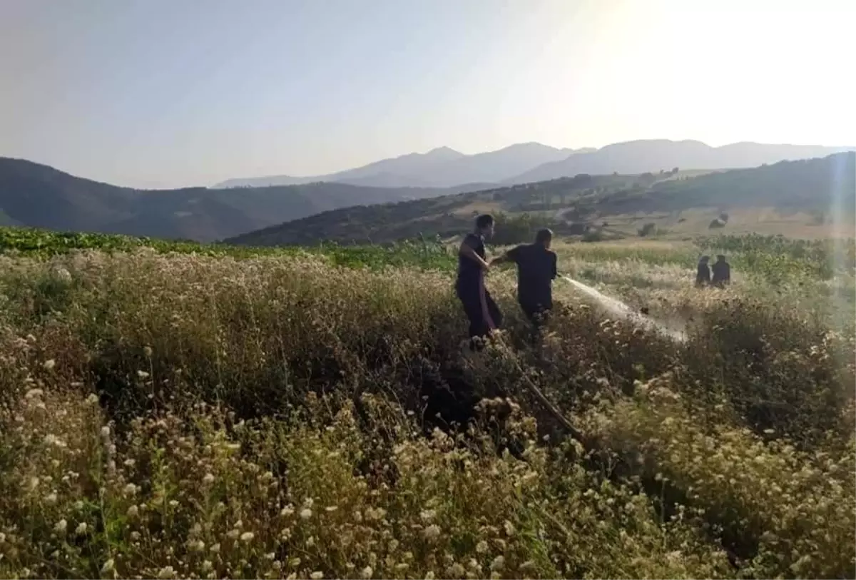 Son Dakika | Jandarma ve köylüler yangını ormana sıçramadan söndürdü