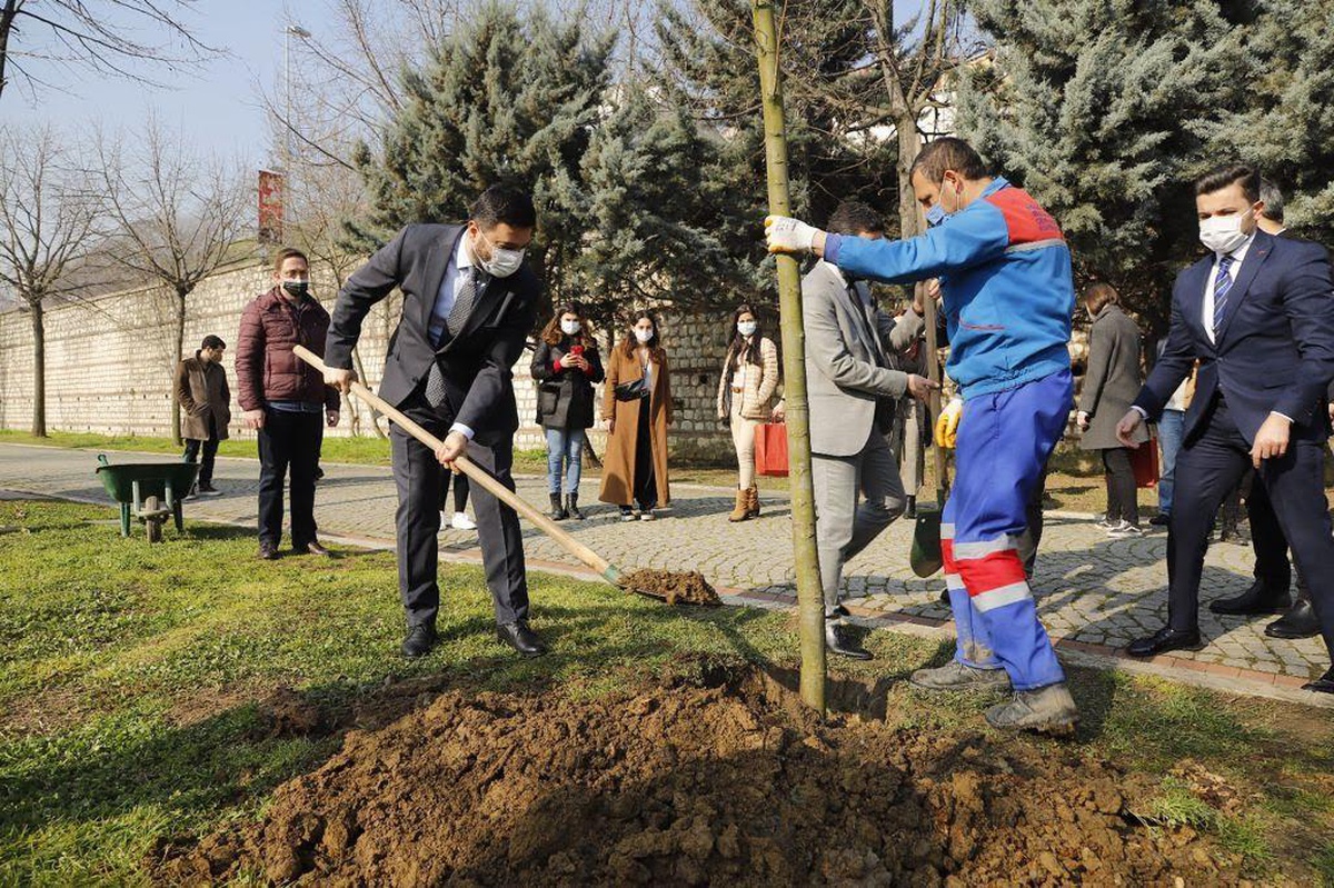 Kâğıthane Belediyesi Manavgat\'a 10 bin fidanla nefes oluyor